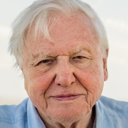 David Attenborough Dramatic AI Song generator
